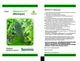 Меренга F1 Огірок Самозапильний Насіння Leda Agro 250 шт - изображение 1