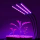 Фітолампа світлодіодна для рослин Plant Grow Light-3 із таймером (N019024) - зображення 1