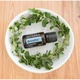Суміш ефірних олій для очищення дихальних шляхів doTerra Breathe® Respiratory Blend «Дихання» 15 ml - зображення 4
