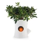 Умный вазон Qualy Log & Squirrel Tree Pot white-yellow QL10075 - изображение 3