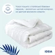 Одеяло летнее Super Soft Premium  200х220 см IDEIA аналог лебяжьего пуха, хлопок, искуственный пух, антиаллергенное, для лета, облегченное - изображение 1