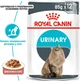Паучі Royal Canin URINARY CARE консервований корм для котів Підтримання здоров'я сечовидільної системи Вага: 0,085 кг (9003579000366) (41570019) - изображение 5