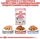 Вологий корм Royal Canin KITTEN LOAF (Паштет) для кошенят 85 г (9003579003848) - изображение 7