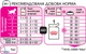 Вологий корм Royal Canin KITTEN LOAF (Паштет) для кошенят 85 г (9003579003848) - изображение 4