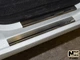 Накладки на пороги Lada Granta 2011- premium NataNiko P-LA03 - изображение 2