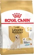 Сухий корм для дорослих собак Royal Canin Labrador Retriever 5+ 12 кг (3182550908412) (1339120) - зображення 1