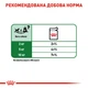 Влажный корм для взрослых собак ROYAL CANIN MINI ADULT 0.085 кг x 4 шт. - изображение 8