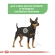 Сухой корм для собак Royal Canin Mini Digestive Care с чувствительным пищеварением 3 кг (3182550894012) (2447030) - изображение 4