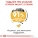 Сухой корм для собак Royal Canin Mini Dermacomfort с раздраженной и зудящей кожей 3 кг (3182550893916) (2441030) - изображение 5