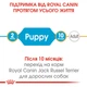 Сухой корм для щенков породы джек рассел терьер Royal Canin Jack Russell Terrier Puppy , 1.5 кг - изображение 5