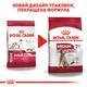 Сухий корм для собак Royal Canin Medium Adult 7+ середніх порід старше 7 років 15 кг (3182550402286) (98110) (3005150) - зображення 6