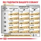 Вологий корм для дорослих собак Royal Canin Veterinary URINARY S/O При захворюваннях нижніх сечовивідних шляхів (паштет) 410 г (9003579310632) (40210019)A - изображение 5