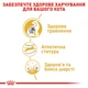 Сухий корм для дорослих кішок Royal Canin Bengal Adult породи Бенгальська, 2 кг - зображення 5