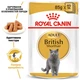 Вологий корм для дорослих котів породи британська короткошерста Royal Canin British Shorthair Adult pouch 85 г (домашній птах) - зображення 2