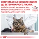 Сухой диетический корм для взрослых кошек Royal Canin Veterinary Anallergenic Cat для снижения признаков ингредиентной и нутриентной непереносимости 2 кг (3182550939218) (19500201) - изображение 9