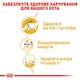 Вологий корм для котів Royal Canin Maine Coon Adult 85 г - изображение 3