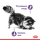 Сухий корм для дорослих стерилізованих кішок Royal Canin Appetite Control Care 2 кг (3182550920391) (25630209) - зображення 2