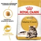 Royal Canin Maine Coon Adult cухий корм для котів 10 кг - изображение 2