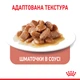 Упаковка влажного корма для взрослых кошек Royal Canin Light Weight Care кусочки в соусе 12 шт х 0.085 кг (9003579311738) (R223154) - изображение 5