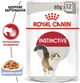 Паучі Royal Canin INSTINCTIVE IN JELLY консервований корм для котів у желе Паучі0,085 кг (9003579309513) (4074001) - изображение 2
