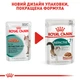 Консерви для кішок старше 7 років Royal Canin Instinctive 7+ ,шматочки в соусі, 85 г - зображення 8