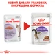 Вологий корм Royal Canin Sterilised in Gravy шматочки в соусі для стерилізованих кішок 12x85 г (9003579311301) - изображение 8