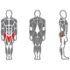 Приводящие и отводящие мышцы бедра InterAtletika Gym Standart, код: ST109 - изображение 2
