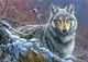 Пазлы Серый волк на 1000 элементов CherryPazzi - изображение 3