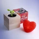 Живой куб Flora Cube «Перец Хабанеро» (25735) - изображение 4