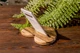 Деревянная подставка для телефона от ecoWalnut EW-5 - изображение 3