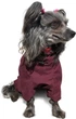 Комбинезон Noble Pet Travis T4124/M Grayish Red (00002301) - изображение 18