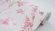 Обои виниловые на флизелиновой основе SINTRA Sakura 468333 (1,06х10,05м) - изображение 2