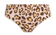 Плавки Fantasie Kabini Oasis 502172 2L Leopard (889501567706) - зображення 1