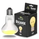 Лампа точкового нагріву Terrario Bogande Basking Sun Light 75w з UVA-променями для рептилій і тераріумів - зображення 3