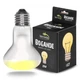 Лампа точечного нагрева Terrario Bogande Basking Sun Light 25w с UVA-лучами для рептилий и террариумов - изображение 3