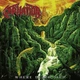 CARNATION – Where Death Lies (CD, EU) - изображение 1