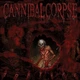 CANNIBAL CORPSE – Torture (CD, Digipack, U.S.A.) - изображение 1