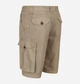 Шорты хлопковые длинные мужские Regatta Shorebay Short RMJ221-3HE 32 Бежево-серые (5059404577446) - изображение 4