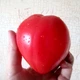 Семена томата Kelli's Heart (Сердце Келли) 10 семян OGOROD - изображение 1