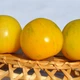 Насіння томату Вернісаж жовтий 10 насінин OGOROD - зображення 2