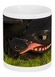 Чашка с принтом Как приручить дракона How to train your dragon Dragon HD.02.11 Кружка керамическая 0,33 - изображение 1