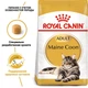 Royal Canin MAINE COON Adult 400 г Полнорационный сбалансированный корм специально для кошек породы мейн-кун в возрасте старше 15 месяцев - изображение 1