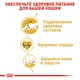 Royal Canin MAINE COON Adult 400 г Полнорационный сбалансированный корм специально для кошек породы мейн-кун в возрасте старше 15 месяцев - изображение 5