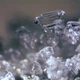 Микроскоп Bresser Erudit ICD 20x-40x - изображение 7