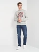 Свитшот мужской Tommy Jeans 10859.2 2XL Серый - изображение 3