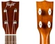 Укулеле концерт Flight MUC-2 Mahogany - изображение 3