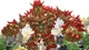 Knack 2 (PS4, русская версия) Б/У - изображение 5