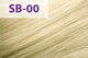 Краска для волос SIENA CHROMATIC SB/00 90 мл Пепельный блонд - изображение 1