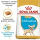 Royal Canin CHIHUAHUA Puppy для щенков поороды Чихуахуа 500 г - изображение 2