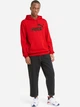 Худи мужское Puma Ess Big Logo Hoodie 58668811 XL High Risk Red (4063697318960) - изображение 3